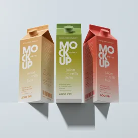Juice Box Stand 07